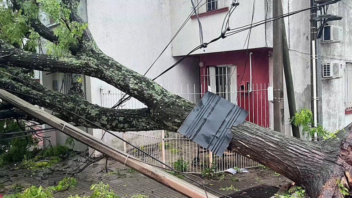 Temporal En Salto Voladuras De Techos M S De Rboles Ca Dos Y