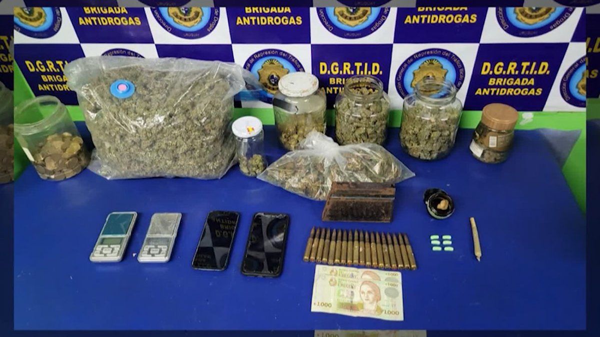 Desmantelan Laboratorio De Marihuana El Cabecilla Estaba Registrado