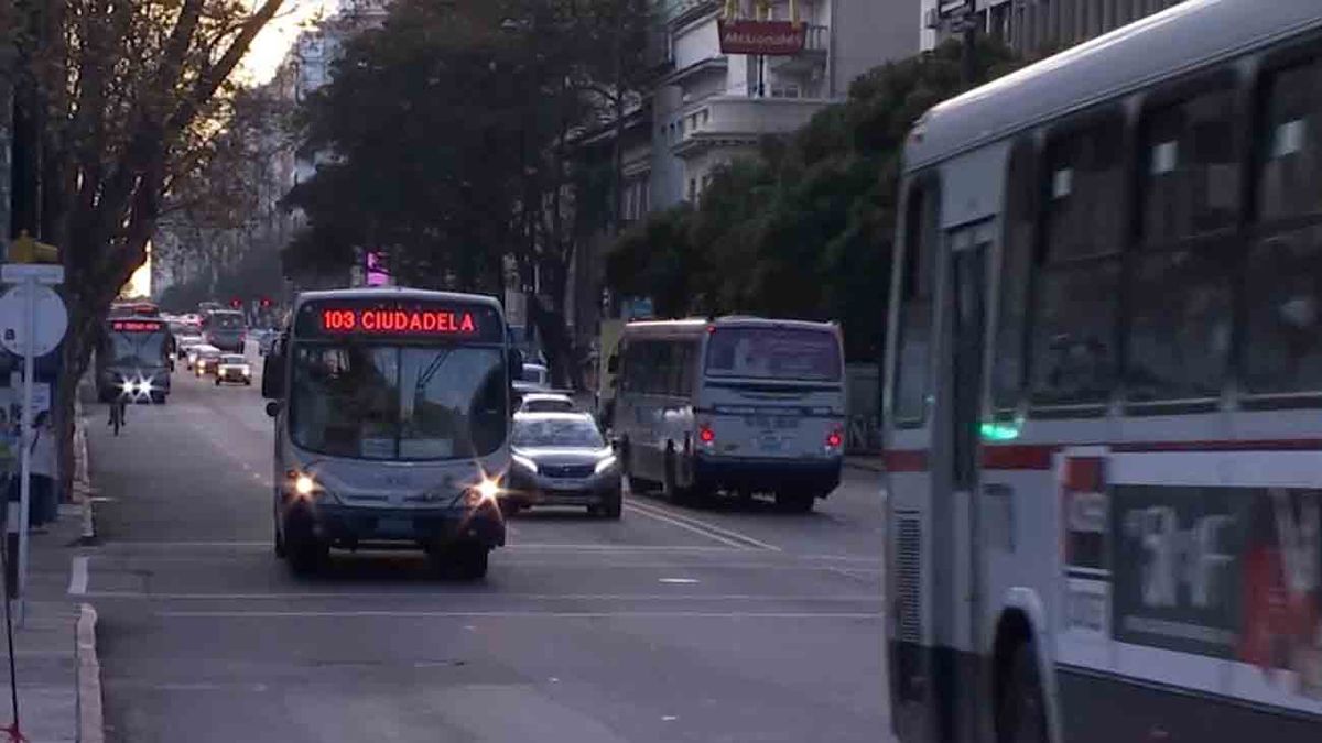 Boletos gratis de STM para estudiantes estarán disponibles desde el 1