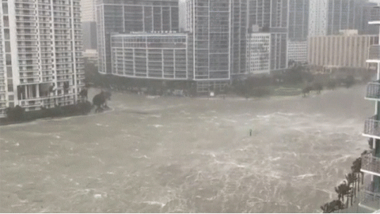 HURACAN IRMA FLORIDA