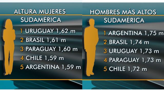cuanto mide una mujer promedio en argentina