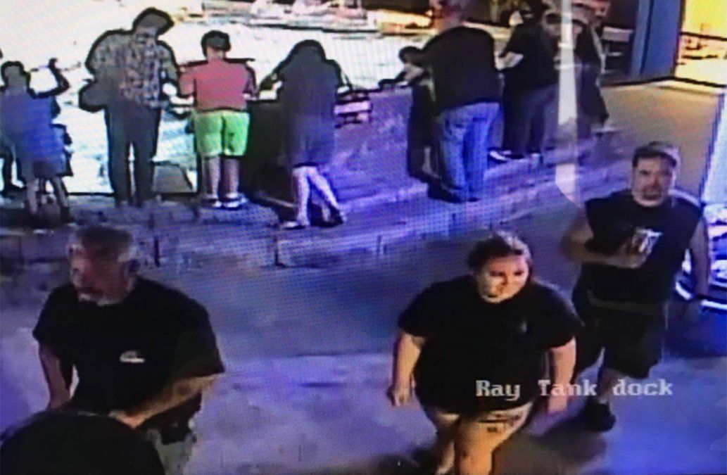 Cámaras de seguridad captan momento en que se llevan a tiburón