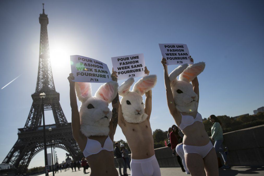 Activistas por el tratamiento ético de los animales Activistas por el tratamiento ético de los animales