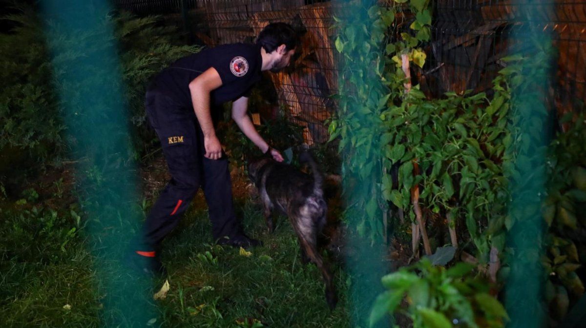 La búsqueda en el jardín del consulado saudí en Estambul, la escena del crimen.