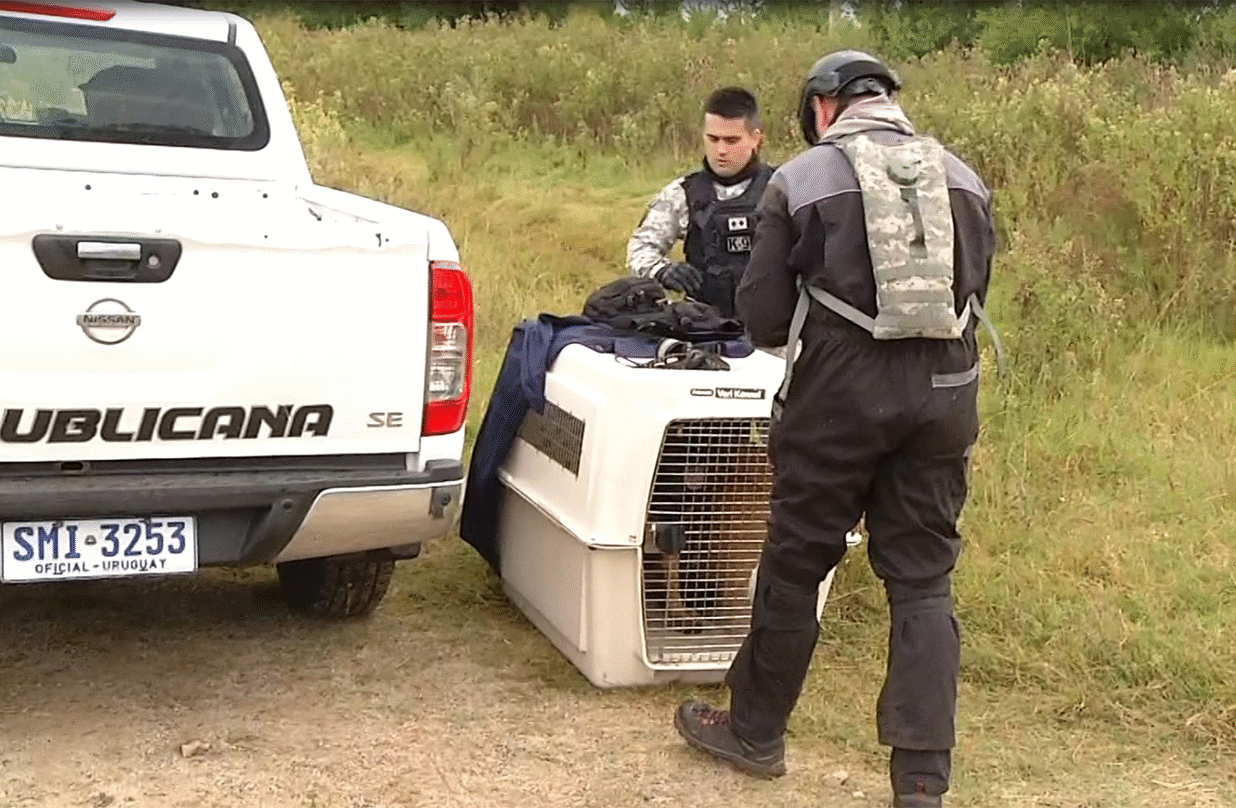 busqueda mujer san jose