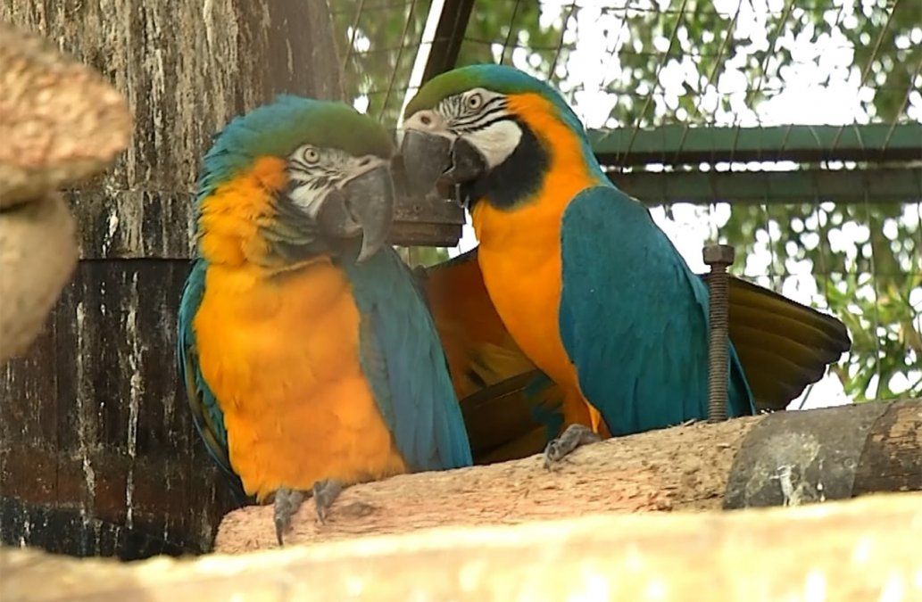 Nuevo ecoparque de Villa Dolores abrirÃ¡ sus puertas con animales a principios de 2020