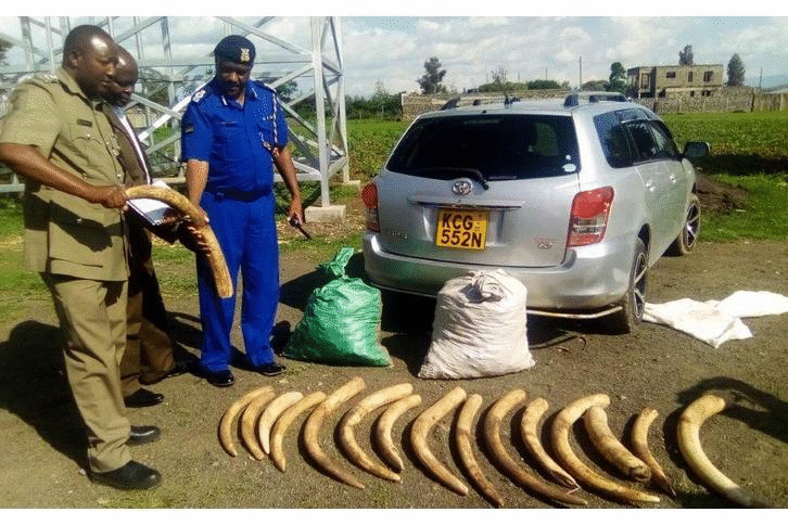 incautación animales interpol