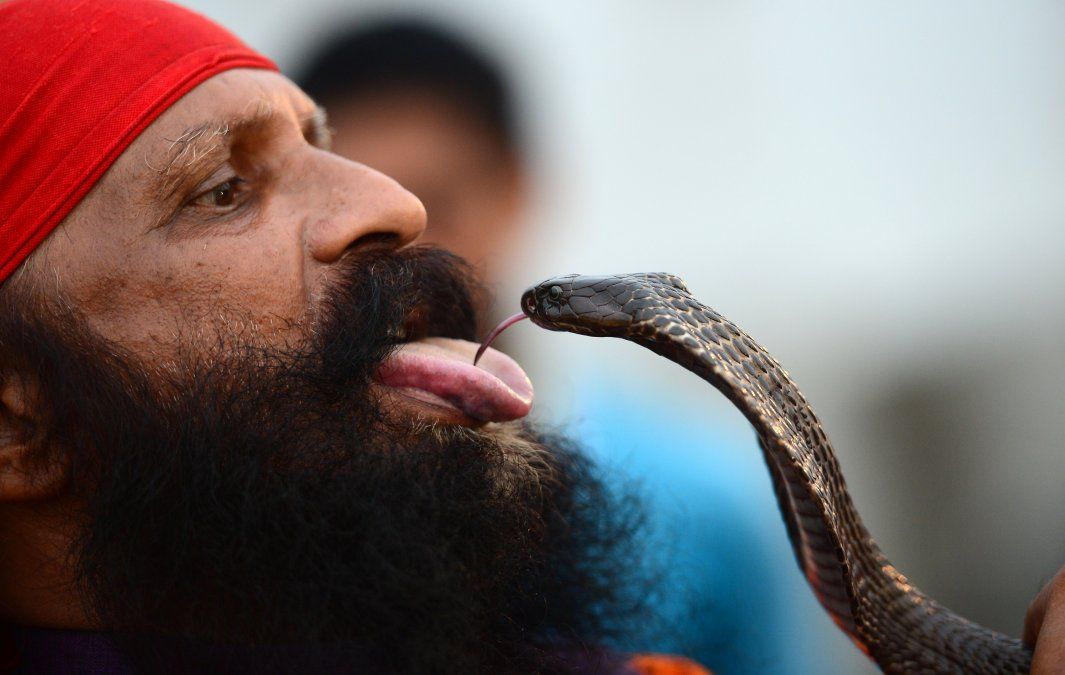 Un hindú devoto del Señor Shiva posa con una serpiente a la orilla del río Ganges durante el mes sagrado de Sharvan Un hindú devoto del Señor Shiva posa con una serpiente a la orilla del río Ganges durante el mes sagrado de Sharvan