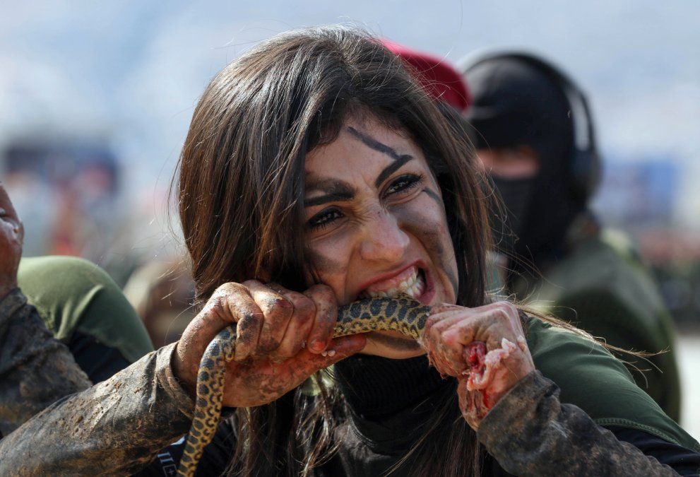 Una oficial peshmerga kurda iraquí muerde una serpiente mientras demuestra habilidades durante una ceremonia de graduación en la ciudad kurda de Soran Una oficial peshmerga kurda iraquí muerde una serpiente mientras demuestra habilidades durante una ceremonia de graduación en la ciudad kurda de Soran