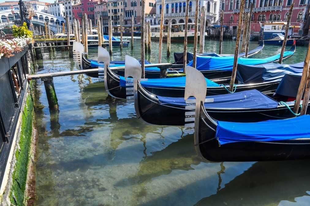 Los canales de Venecia con aguas limpias y peces | Venecia ...