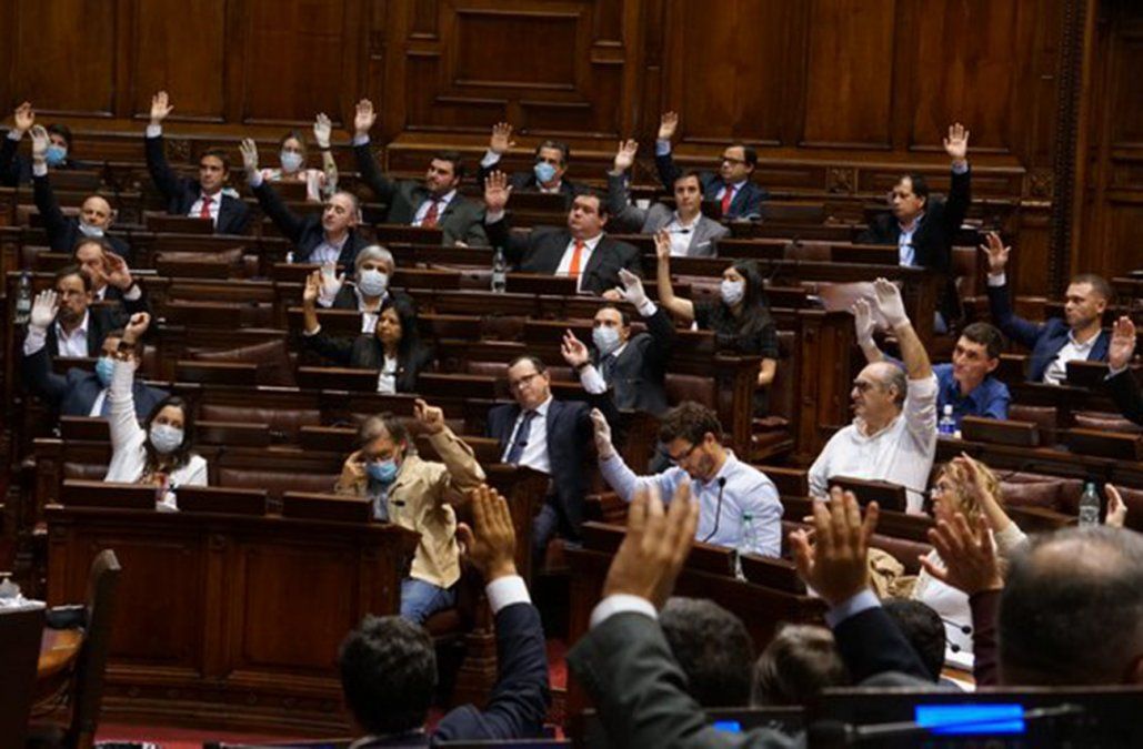 Diputados aprobó la ley que prorroga las elecciones departamentales