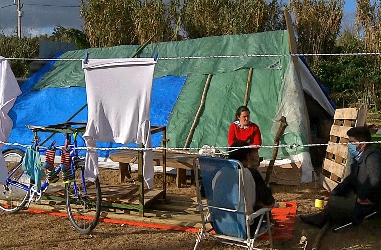 familia-carpa-treintaytres.gif