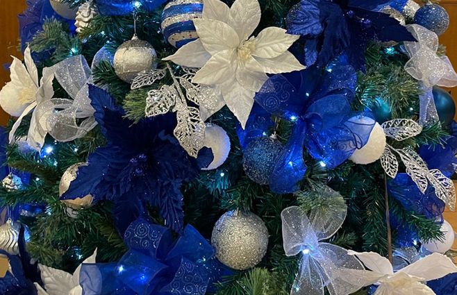 ARBOL-DE-NAVIDAD---CANAL.jpg