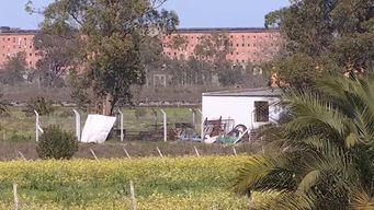 mujer a prision por 4 anos tras ingresar marihuana a la carcel en su zona pelvica