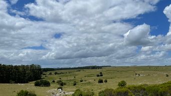 sabado con gradual aumento de la  nubosidad y una temperatura maxima de 21 grados 
