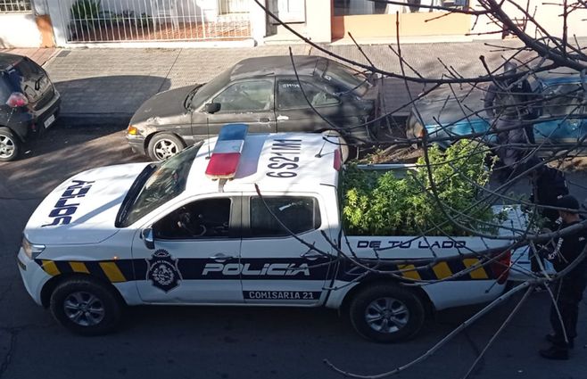 Marihuana-operativo-en-Canelones.-jpg.jpg