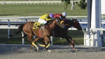 Subrayado | MICRO TURF 2 D DIC