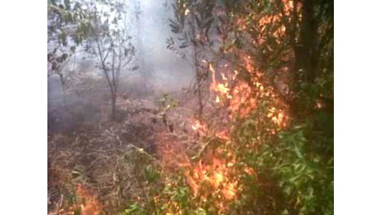 Bomberos trabaja para controlar dos incendios en Costa de Oro