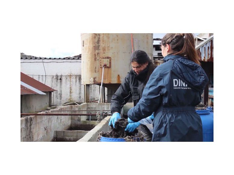 Intensifican controles y multas a industrias por mala gestión de residuos