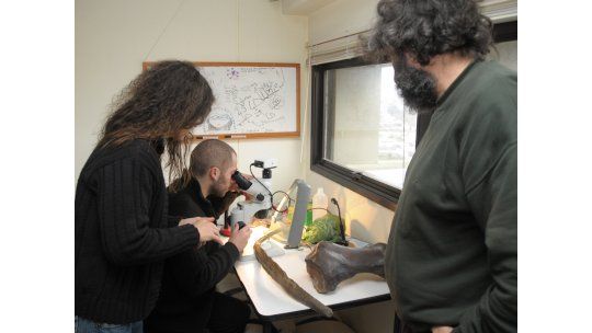 Primeros habitantes llegaron 17 mil años antes de lo que se creía