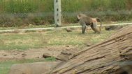 Parque lecocq retomó cobro de entradas sábados, domingos y feriados laborables