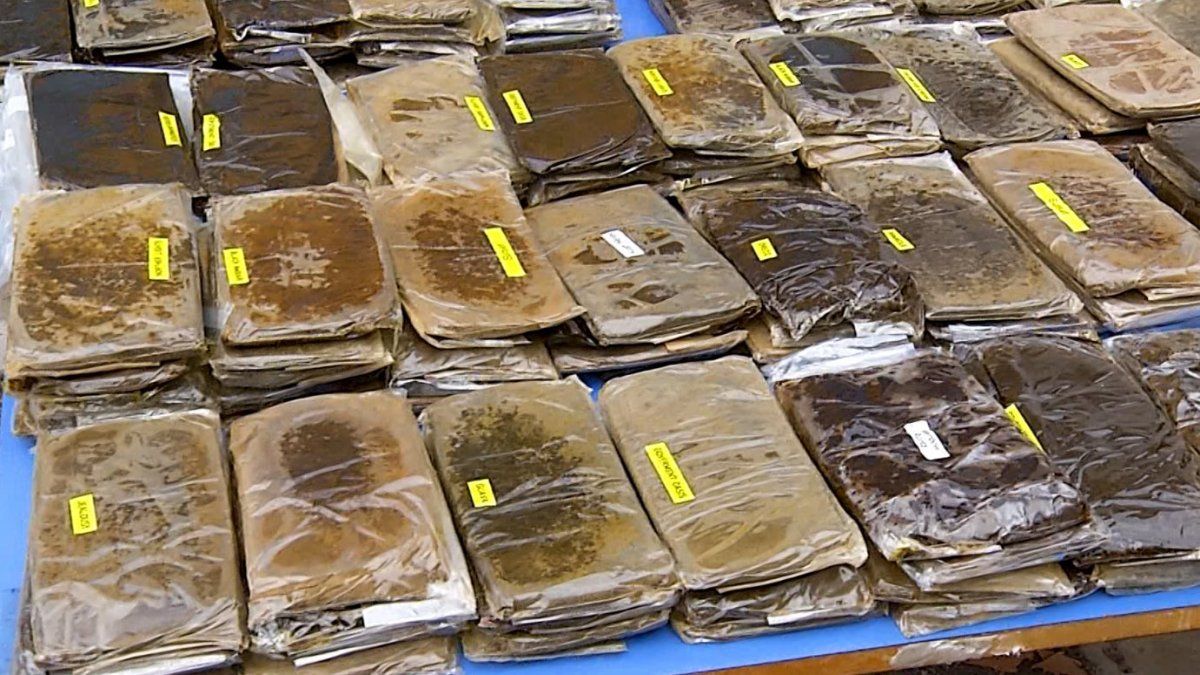 Incautaron 4.500 kg de droga en operativo por producción de hachís; hay cuatro condenados y la sustancia era para Brasil