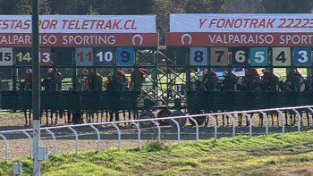 Subrayado | MICRO TURF 22 D MAY