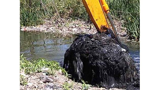 Comenzó gran operativo de limpieza de bañados de Carrasco