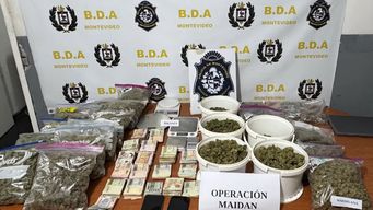 usaban un club canabico como fachada pero distribuian droga a varias bocas en nuevo paris