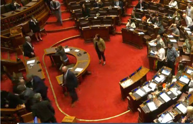 accidente-ana-olivera-en-diputados