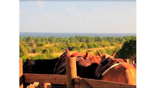 En Verano 360, cabalgatas nocturnas
