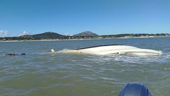 armada rescato a dos tripulantes de la embarcacion deportiva que se hundio a un kilometro de la costa