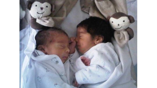 Palito y el Mono Pereira aportaron tres nuevos hinchas celestes