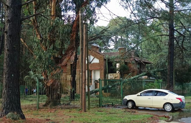 tormenta piriapolos (9).jpeg