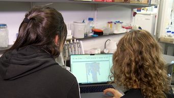instituto pasteur investiga origenes y caracteristicas de la poblacion uruguaya; necesitan voluntarios