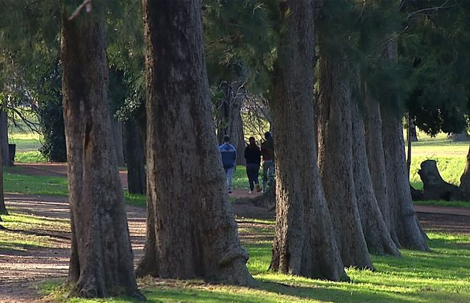 Imagen de archivo.&nbsp;