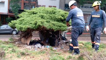 Foto: Lorena Nachajón, Subrayado.