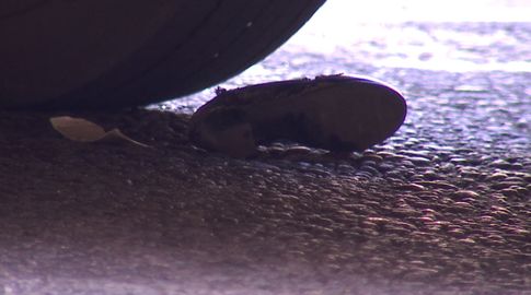 Está en CTI la mujer embestida por un ómnibus de Cutcsa en el Centro; el conductor se encuentra detenido