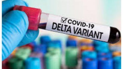 variante delta del covid representara 90% de los casos en europea a fines de agosto
