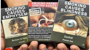 msp presento al parlamento el proyecto de empaquetado unico para el tabaco