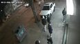 once delincuentes robaron un super en modo pirana: impunidad total, la proxima van a venir en una banadera, dijo el dueno