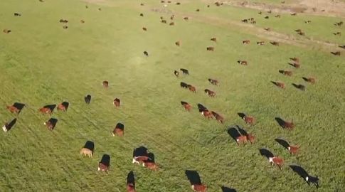 Presentan censo agropecuario 2024: hay 41.918 explotaciones en el país, frente a las 44.781 del año 2011 Presentan censo agropecuario 2024: hay 41.918 explotaciones en el país, frente a las 44.781 del año 2011