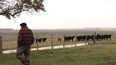 tras muerte de trabajador rural por un rayo en cerro largo, autoridades advierten riesgos e investigan el caso