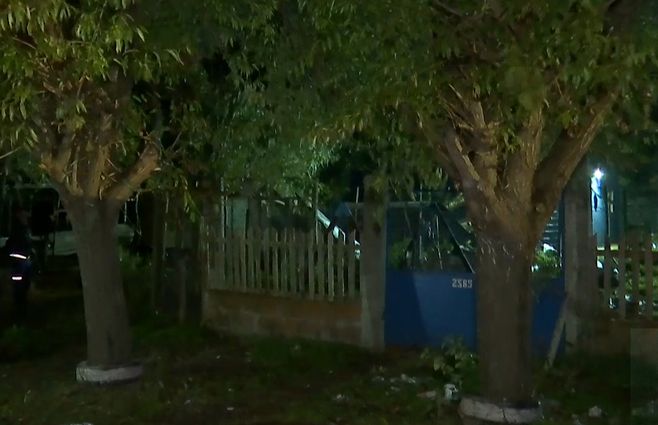 casa palmera caída viento.jpg