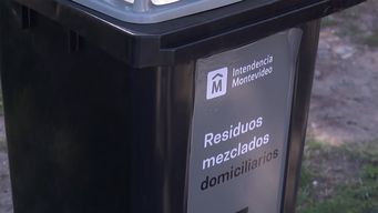 en marzo comenzara la distribucion de contenedores intradomiciliarios en carrasco y malvin