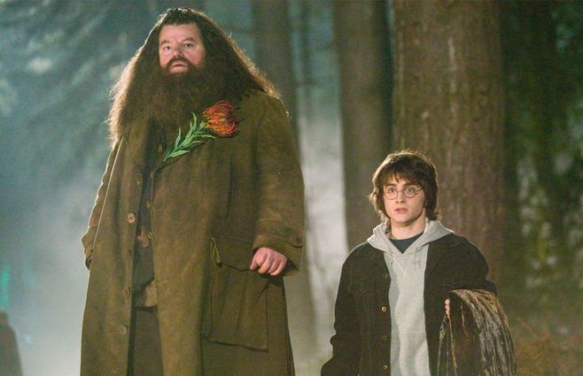 harry-potter-Hagrid-warner-bros.jpg