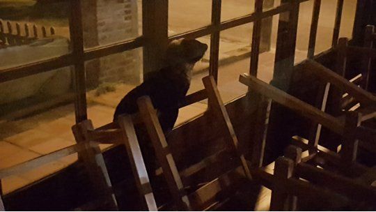 lobito hotel la paloma