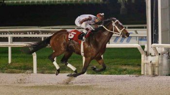 Subrayado | 7 MICRO TURF 2 D SEP