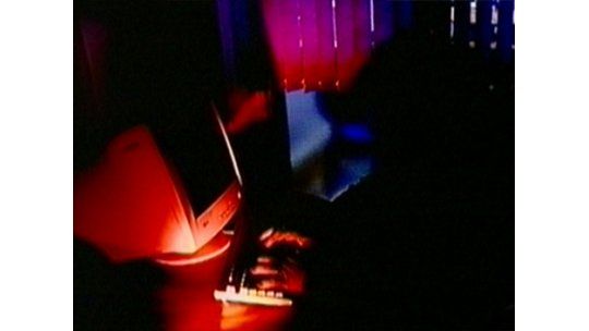 EE.UU: 245 arrestados en operación contra pornografía infantil