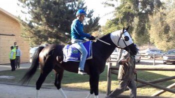 Subrayado | 10 MICRO TURF 8 D MAR